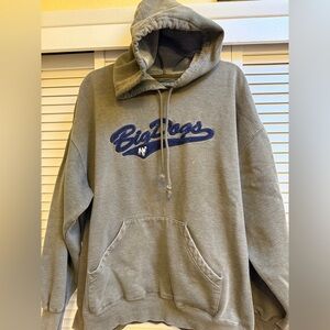 Vintage Y2K Big Dogs Men's Hoodie Sz 2X Green and Navy Blue